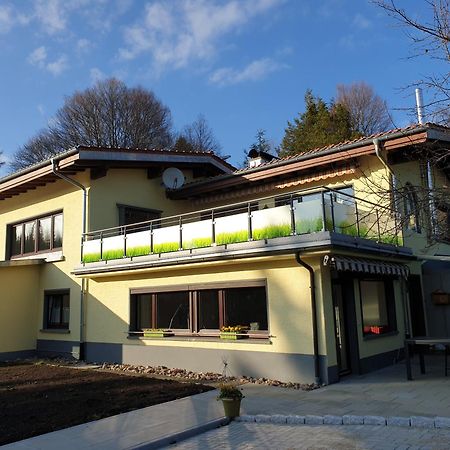 Fewo Zum Gscheiten Beck Mit Grosser Terrasse Feldberg  Exterior foto